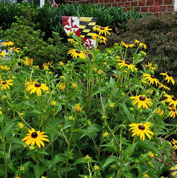 Meet your Posher, Jeanelle - Picture 6 of 11